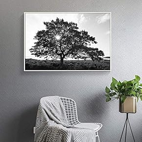 Floating Framed Canvas Wall Art for Living Room, Bedroom Black and White Tree Art Canvas Prints for Home Decoration Ready to Hang - 16x24 inches