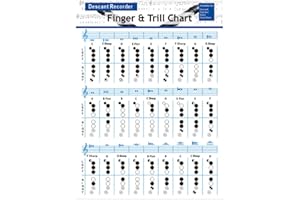 Flute Chord Chart Trumpet Chord Chart Practice Bass Recorder s Finger Practice Finger Flute for Bass Practicing Supply