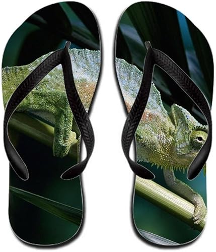 lizard flip flops