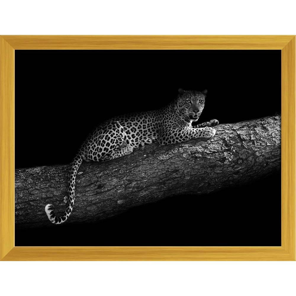 Photo Leopard resting In A Tree Canvas
