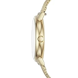Skagen Women's Signatur Lille Two-Hand Gold