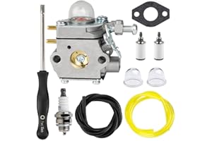 Hettluo Carburetor for Craftsman b2200 b2000 b210 Leaf Blower CMXGAAM204101 41AR25B2793 CMXGAAMR25BL 41BR25BL793 CMXGAAMRBL25 41ARBL25793 CMXGAAMRBL25 41BRBL25793 Engine