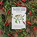 Piri Piri/African Bird's Eye Chili Pepper (Capsicum frutescens) Seeds (~40): Certified Organic, Non-GMO, Heirloom, Open Pollinated Seeds from The United States