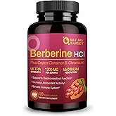 NATURE TARGET Berberine HCl 1200mg, Berberine Supplement with Ceylon Cinnamon, Chromium - Supports Immune, Gastrointestinal & Digestive Health, Non-GMO, 120 Capsules