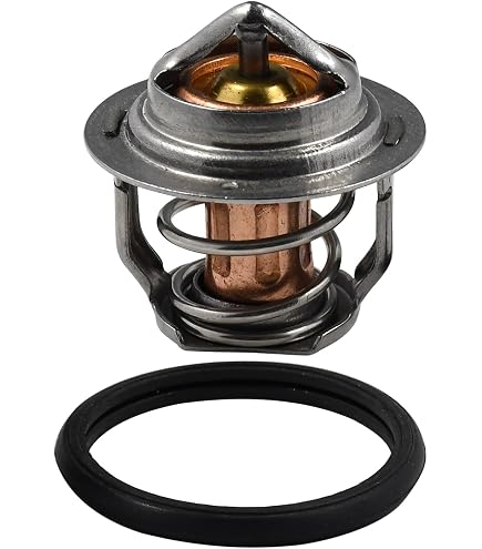 DSparts Replacement Thermostat for Polaris RZR 800 Ranger