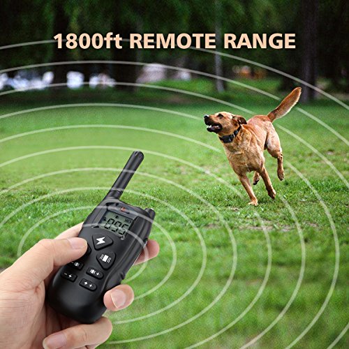 kungber dog training collar