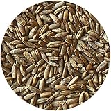 Whole Rye Berries, 8 Pounds
