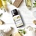 SenseLAB Indian Ginger Essential Oil - 100% Pure Extract Ginger Oils - Therapeutic Grade Essential Oils - Lymphatic Drainage Ginger Oil - Ginger Massage Oil - Hair Care Oil - Ginger Root Oil (10 ml)