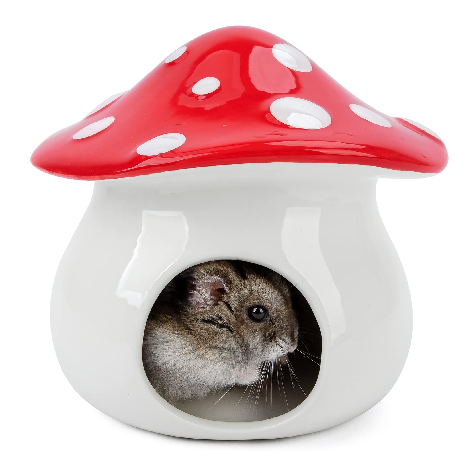 Niteangel Ceramic Hamster Habitat Hideout: - Hideaway House for Syrian Dwarf Hamster Mice Gerbils Lemmings or Other Similar-Sized Small Pet (Mushroom-Shaped - For Dwarf)