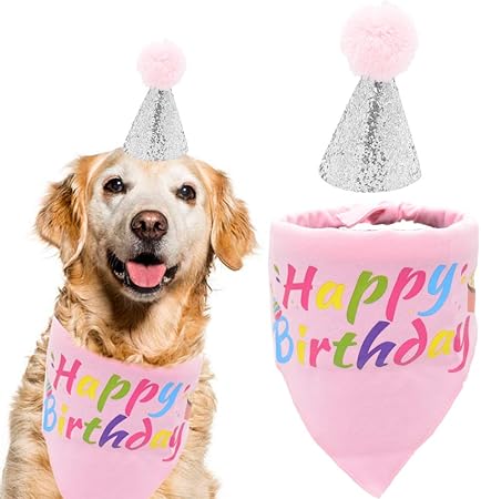 birthday girl bandana dog
