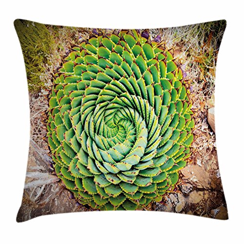 Best tall dinning room spinning chairs