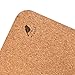 42 Brids Cork Yoga Mat and Two-Block Bundlethumb 3