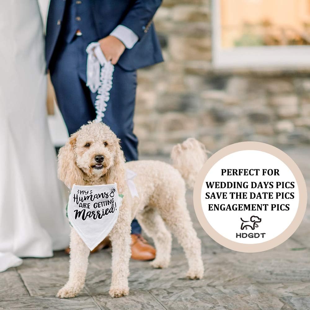 My Humans are Getting Married Dog Bandana, Wedding Dog Bandana, Dog Engagement Announcement, Wedding Photo Prop, Pet Scarf, Pet Accessories (2 Pack) : Pet Supplies