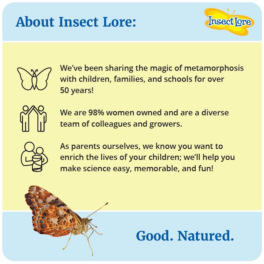 Insect Lore Two Cups of Caterpillars - Butterfly Garden Kit Refill – Raise and Release Painted Lady Butterflies – Includes Two Chrys-A-Lid Holding Logs and Instructions