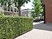 Ranka Artificial Myrtle Greenery Panels 40x40 inches