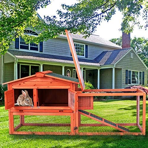 wooden house rabbit outdoor