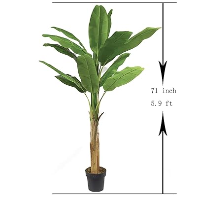 Buy Artificial Boxwood Topiary Tree Artificial Banana Leaf Tree Double Trunk 71 Inches Fake Silk Plant Faux Topiary Tree Outdoor Faux Banana Tree 2 Pieces Online In Indonesia B094qnytqp