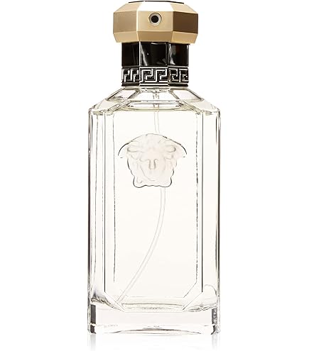 Amazon.com : Versace The Dreamer Men 3.4 oz Eau de Toilette Spray