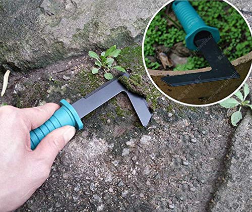 xderlin Garden Tools Set,12 Piece Gardening Gifts Stainless Stee Garden Tool Set with Storage case -Garden Gifts for Men & Women(12 Pieces-Green)