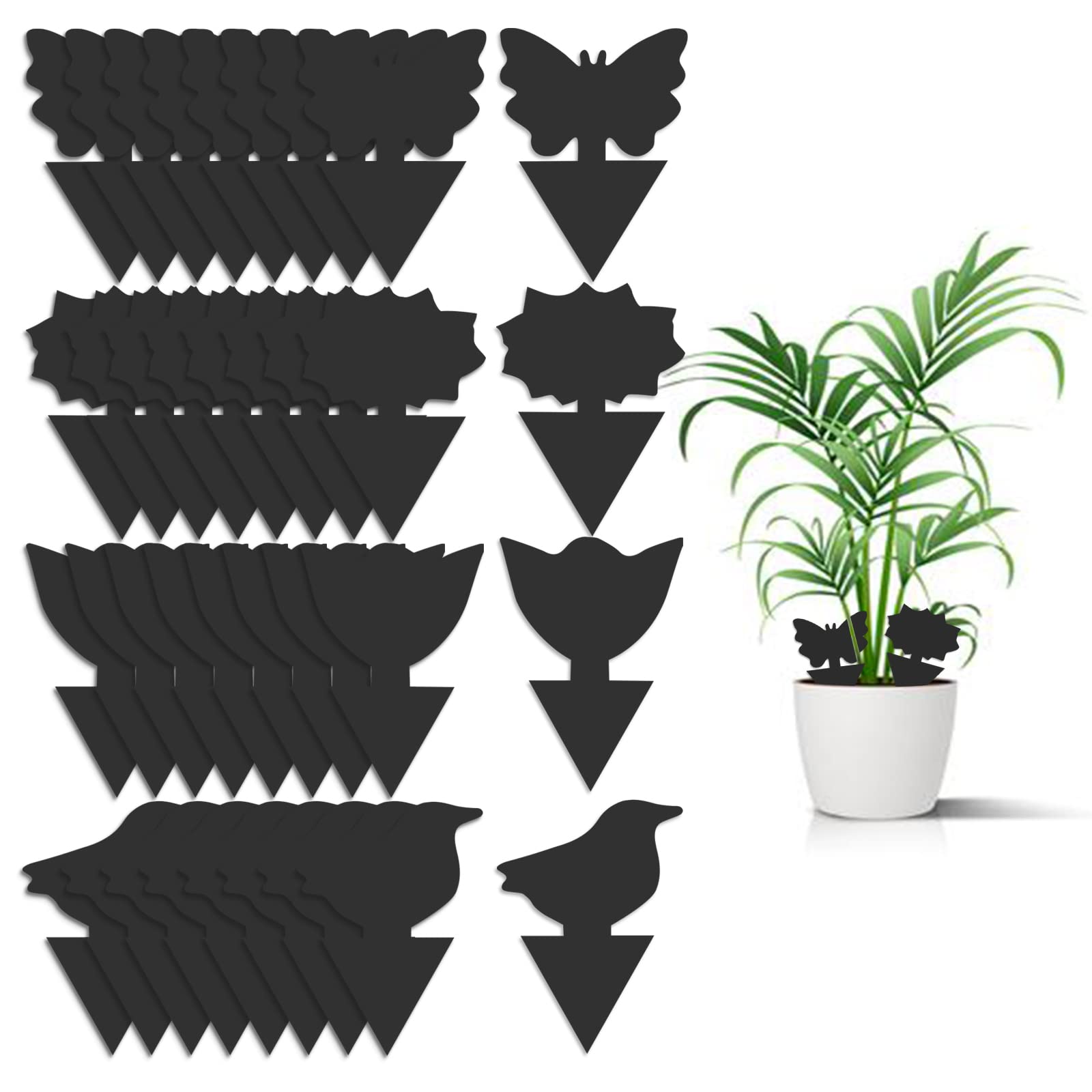Photo 1 of 36 Pack Fungus Gnat Traps for House Plants, Sticky Traps for Indoor Outdoor Use to Get Rid of Whitefly Mosquitoes Fungus Gnats Thrips Leafminer Flying Insects Protect Your Plants (Black)