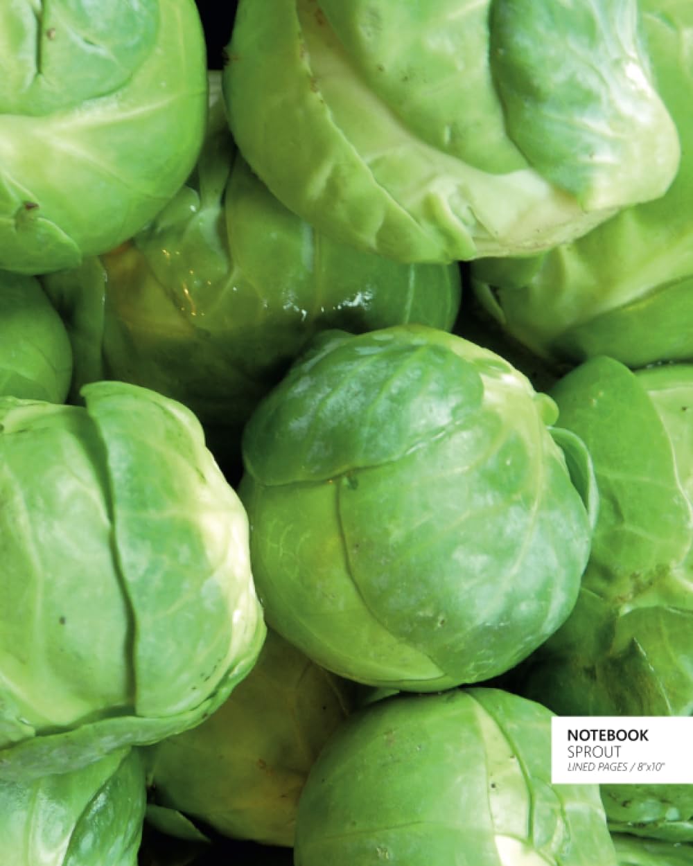 Sprout Notebook (10x8)