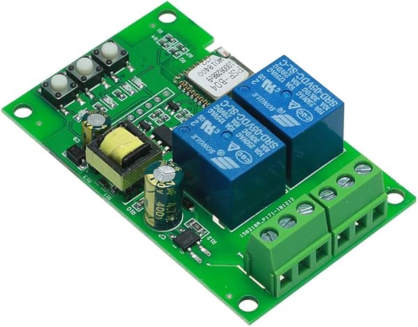 Leepesx eWeLink Smart WiFi Switch Mdulo Universal 2CH AC85 250V Switch Wireless Timer Phone App Control Remoto Compatible con Amazon Alexa Google Home Control de Voz para Smart Home