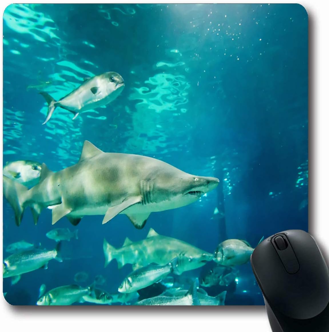 Mousepads Reef Blue Aggressive Sand Tiger Shark Carcharias Dangerous Taurus Underwater Wildlife Red Aquarium Non-Slip Gaming Mouse Pad Rubber Oblong Mat