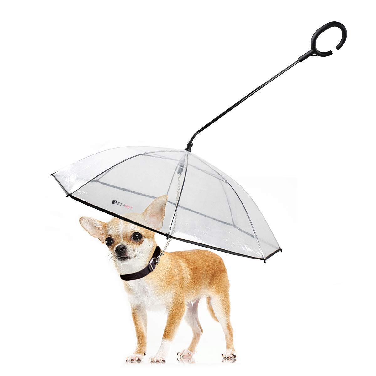 Pet Dog Umbrella with Leash for Small Pets for 12.99 Shipped! (Reg