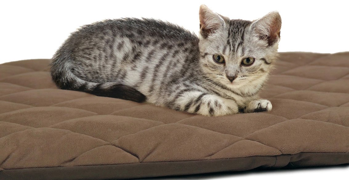 Petlife Flectabed Q Thermal Pet Bedding for Dog/ Cat, 37 x 28-inch, Brown