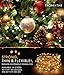 Tronixtar Flexible Copper Wire 200 LED String Lights with Remote, 11 Brightness Modes and Timer, 66-Feet, White Warm
