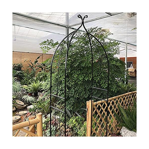 LYBC Metall Rosenbogen B80xH 205cm Rankgitter Torbogen Gartenbogen Rankhilfe Spalier, Für Kletterpflanzen,Hochzeitsbogen… – Bild 5