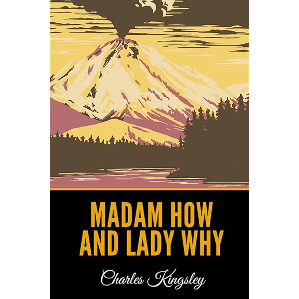 The Lady of Pleasure: Shirley, James: 9781496162847: Amazon.com: Books