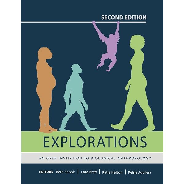 Amazon.com: Exploring QSAR (ACS Professional Reference Book