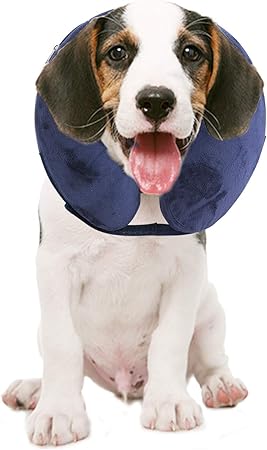 blow up dog collar amazon