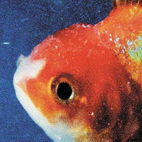 Vince Staples - Big Fish (3.18) Lyrics - Zortam Music