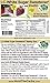 Low Carb White Sugar Sweetener - Inulin - LC Foods - Paleo - Gluten Free - Diabetic Friendly - Low Carb Sugar - 8.9 oz