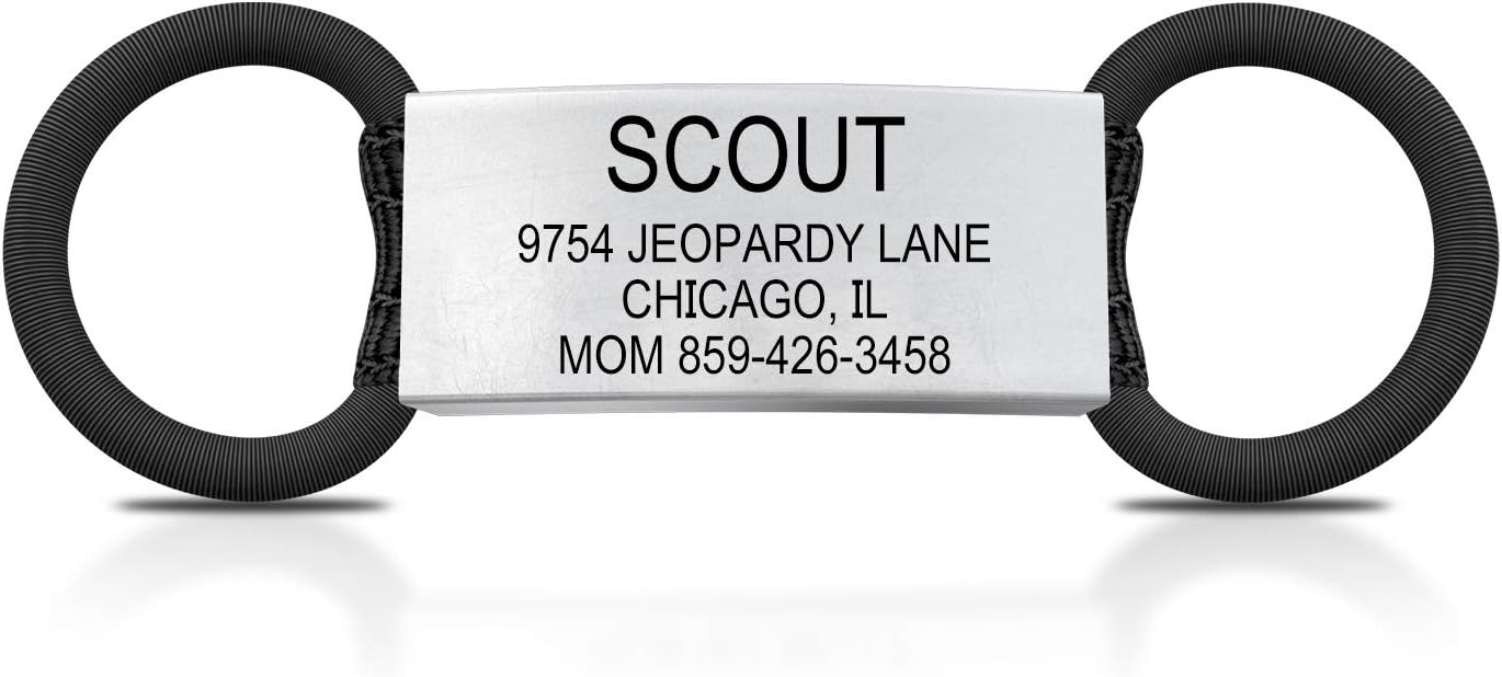 dog gates for large dogs