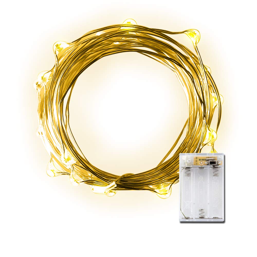 LIDORE Micro LED 20 Yellow String Light with Timer Battery