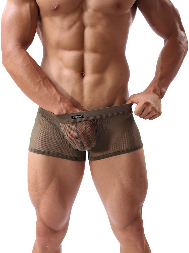 Sheii Mens Boxer Briefs Soft Mesh Breathable Underpants Men's Sexy Underwear Cool Design See-Through Trunks Pack(A3,Army,M)