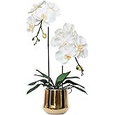 CXGS Orchids Artificial Flowers Realistic Fake Flowers in Ceramic Pot 20" White Lifelike Faux Floral Arrangement Soft PU Phalaenopsis for Home Hotel Indoor Decor, Centerpiece Display