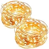 TaoTronics LED String Lights 33 ft with 100 LEDs, Waterproof Outdoor & Indoor Decorative Lights for Bedroom, Garden, Patio, Parties. UL588 and TUVus Approved ( Copper Wire Lights, Warm White )-2 Pack
