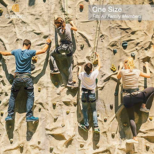 Gabbro Climbing Harness, Thickened Wider Safety Harness to Protect Waist, Safety Gear Climbing Rope for Fall Protection, Harness for Work at Height Fire Rescuing (Harness) - Thumbnail 3