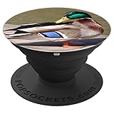 Mallard Waterfowl - PopSockets Grip and Stand for