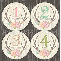 Baby Month Stickers Monthly Baby Girl Milestone Stickers Deer Antler Woodland Floral Flowers