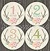 Baby Month Stickers Monthly Baby Girl Milestone Stickers Deer Antler Woodland Floral Flowers