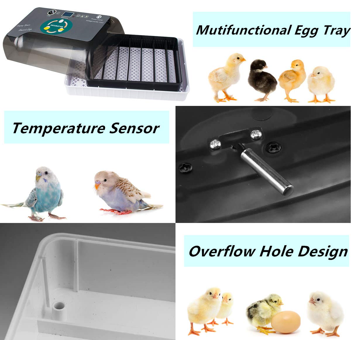 12 Eggs Incubator Temperature Control & Humidity Control & Automatic