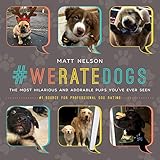 Image de #WeRateDogs: The Most Hilarious and Adorable Pups You've Ever Seen