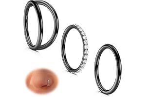 WBRWP Nose Rings Hoops: 316L Surgical Steel Double Hoop Nose Rings 14G 16G 18G 20G Hinged CZ Septum Conch Clicker Lip Rings Cartilage Helix Rook Tragus Daith Earring Hoops Body Piercing Jewelry 7mm 8mm 9mm 10mm
