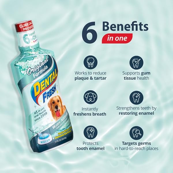DENTAL FRESH WATER ADDITIVE FOR DOGS, ORIGINAL FORMULA, 17OZ – DOG BREATH FRESHENER AND TEETH CLEANING FOR DENTAL CARE– ADD TO WATER