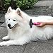 TaoTronics Retractable Pet Leash